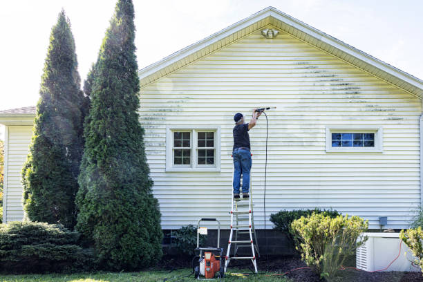 Best Deck Cleaning Services  in Lake Wales, FL