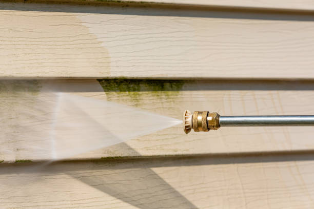 Best Exterior Home Cleaning  in Lake Wales, FL